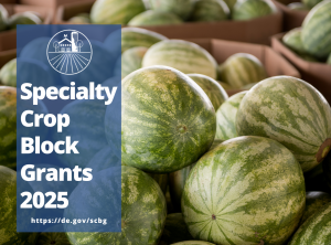 Specialty Crop Block Grant title photo with watermelons in the background